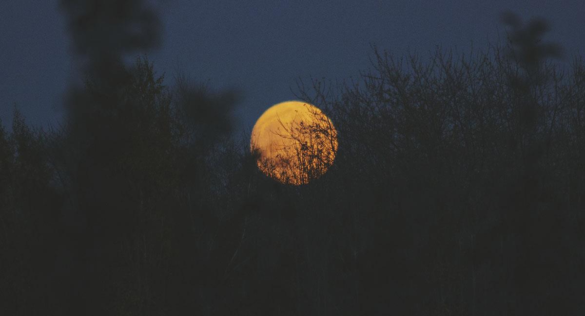 Luna de Maíz: ¿Qué es y cuándo podrás verla?. Foto: Unsplash