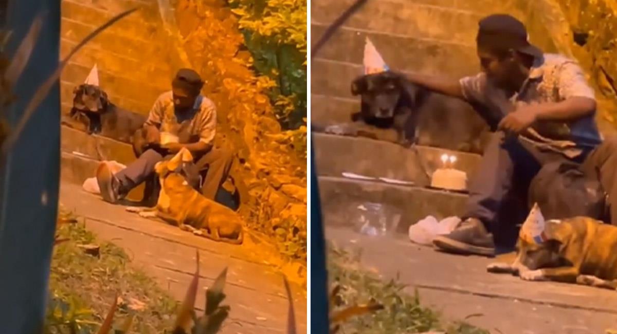 VIDEO: Celebra su cumpleaños con sus perritos y se vuelve viral. Foto: Twitter