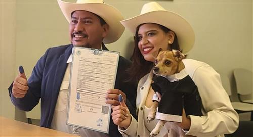 Perrito como testigo de boda en México