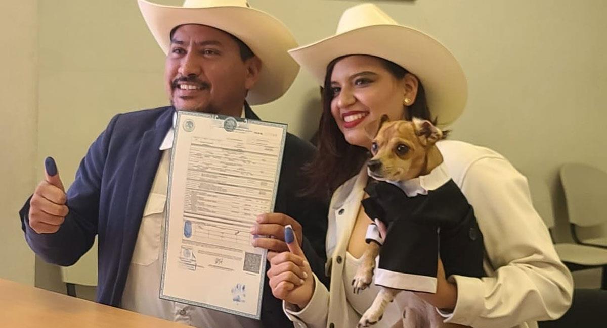 Un perrito Chihuahua fue testigo de boda en México. Foto: Facebook Rene Gabriel Rodriguez